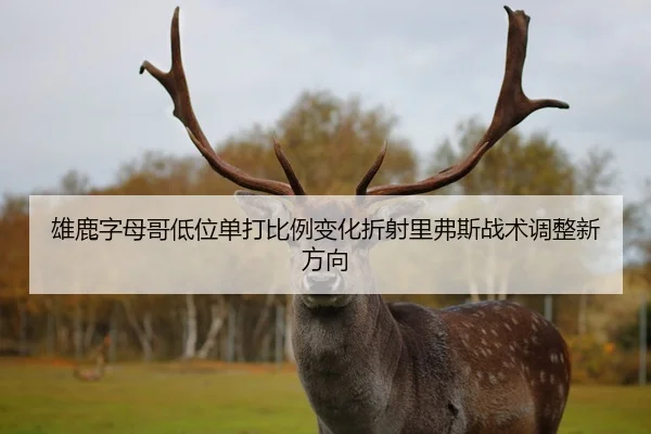 雄鹿字母哥低位单打比例变化折射里弗斯战术调整新方向